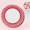 Red Gingham Paper Dinner Plates 24 Count Classic Picnic Party Plates 9 Inch